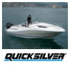 Plovila Quicksilver, Arvor, Guernsey, Ranieri, Didon